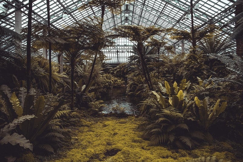 Eco-Friendly Architecture
